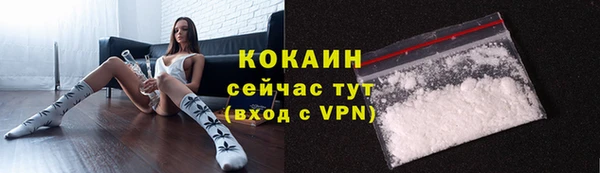 mdpv Богородск
